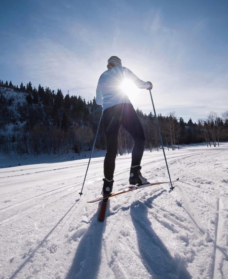 winter cross-country skiing